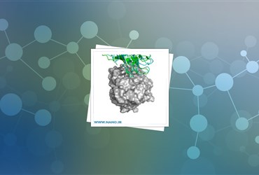 تلاش محققان نیوزیلندی برای افزایش ارزش صادرات کاغذ با استفاده از فناوری‌نانو