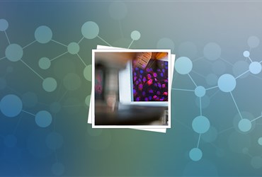 یافتن عامل موثر در میزان استحکام نانوکامپوزیت‌های پلیمری در دانشگاه تهران