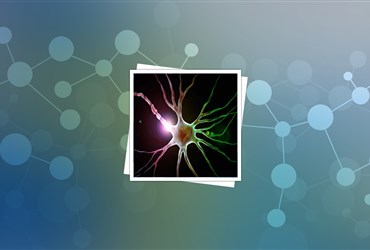 تحریک سلول‌های بنیادی عصبی با ریسمان نانولوله کربنی