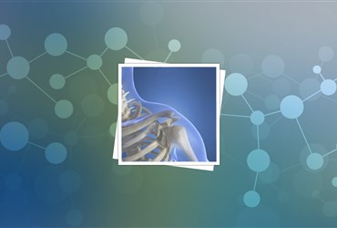 شرکت باسف در برنامه‌ای تحقیقاتی در زمینه ایمنی نانومواد شرکت می‌کند