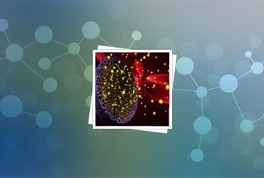 تجاری‌سازی داروی ضدسرطان مبتنی بر نانولیپوزم