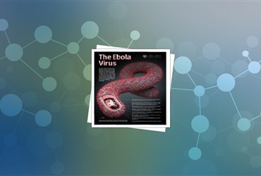 نانوابزاری با حساسیت بالا برای شناسایی ایبولا