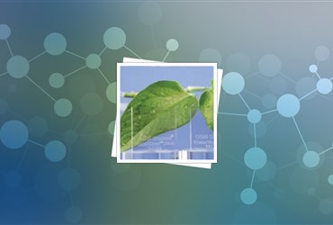 ابزاری تعاملی جهت اجرای قوانین زیست‌محیطی برای تولیدکنندگان نانوذرات