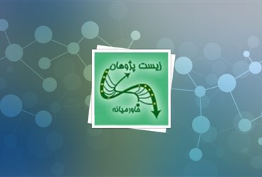 نانوجاذب اتیلن، محصولی ایرانی جهت کاهش ضایعات کشاورزی