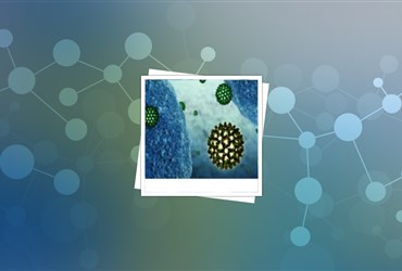 آزمون بالینی برای ترکیب دو نانوداروی ضدهپاتیت