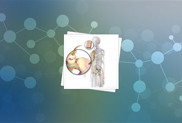 ارائه فناوری نانوپوشش ویژه ایمپلنت‌های استخوانی به بازار