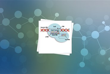 ویرایش موفقیت‌آمیز ژن با استفاده از نانوذرات لیپیدی