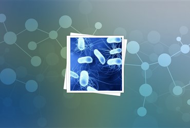 رشد بازار افزودنی‌های ضدمیکروب با کمک فناوری‌ نانو