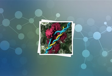 سنتز نانوذرات لیپیدی برای ویرایش ژن به ‌روش کریسپر