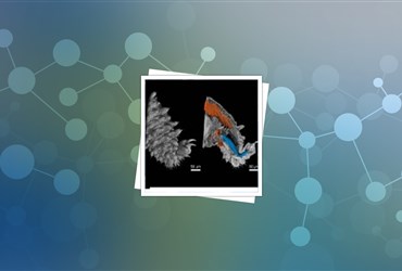 ساخت Nano-CT با قدرت تفکیک ۱۰۰ نانومتر