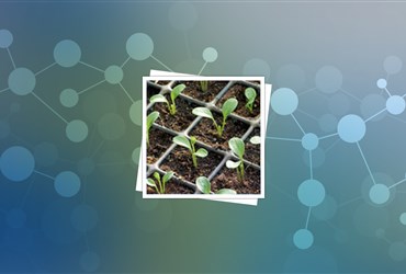 امضای قرارداد همکاری توسعه کاربردهای فناوری پلاسمای سرد در صنایع غذایی و کشاورزی ما بین شرکت کاوش یاران فن پویا و پژوهشکده بیوتکنولوژی کشاورزی