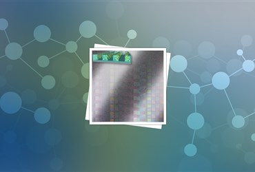 ارائه روشی برای الگودهی نانوذرات روی سطح پلیمر