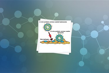 بررسی نقش پروتئین سطحی در حفاظت از نانوحامل دارو در بدن