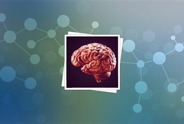 آئروسل حاوی نانوذرات برای رهاسازی دارو در مغز