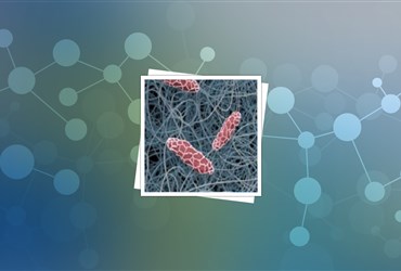 تولید صنعتی نانوالیاف حاوی گرافن در چین