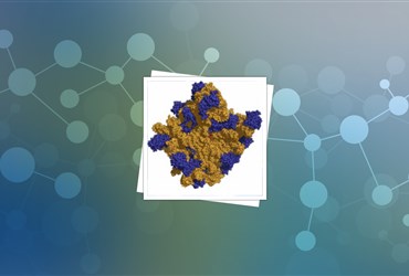 همگرایی مهندسی و زیست‌شناسی: انجام محاسبات درون سلولی