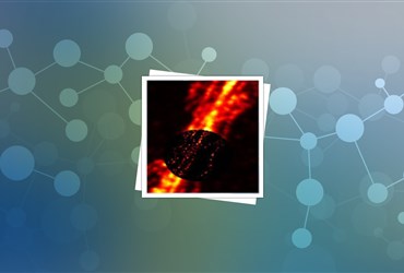 دست یاری فولرین به سوی برنده جایزه نوبل شیمی!