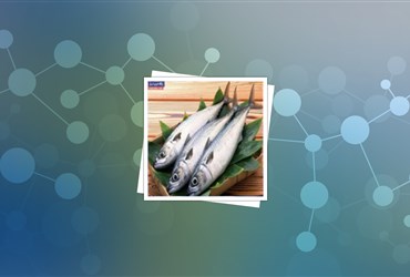 کاهش احتمال ابتلا به حساسیت ناشی از مصرف غذاهای دریایی