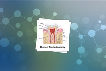 ترکیب عصاره‌ی چای سبز، هیدروکسی‌آپاتایت و نانوذرات سیلیکا