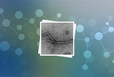 تولید نانولوله‌های پروتئین از بلورهای مهندسی شده