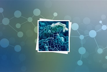 ثبت پتنت زدایش زیست‌فیلم‌های میکروبی با استفاده از نانوذرات