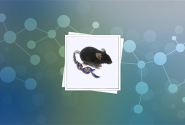 درمان اوتیسم در موش‌ها با نانوذرات طلا و ویراستار ژن