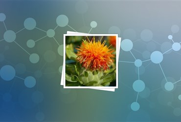 تولید نانوکاتالیست بر بستر گیاهان دارویی در دانشگاه جیرفت