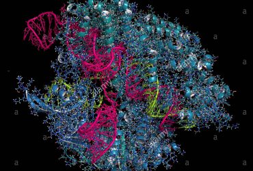 استفاده از نانوکمپلکس CRISPR/Cas9 برای مقابله با آلزایمر