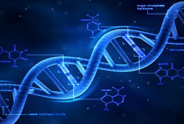 رشد سریع در حوزه نانوفناوری DNA آمفی‌فیلیک