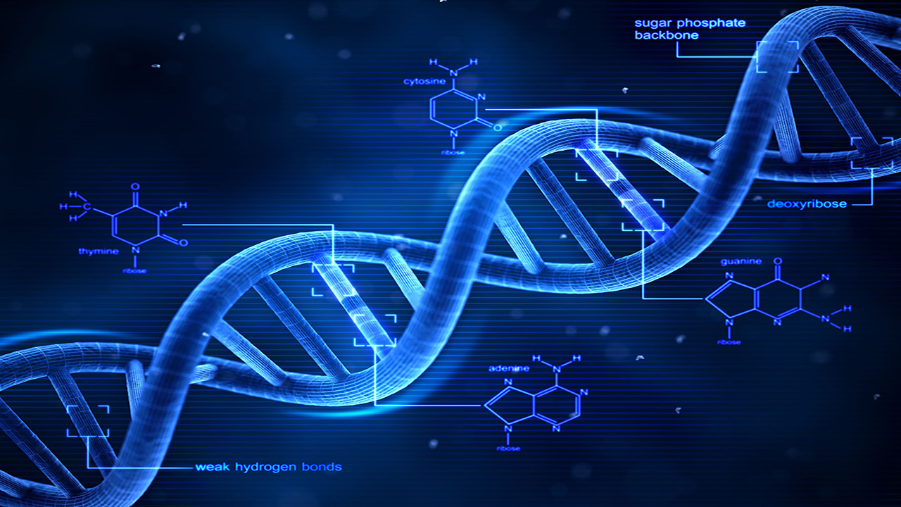 رشد سریع در حوزه نانوفناوری DNA آمفی‌فیلیک