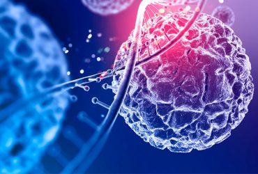 تولید داروی ژن‌درمانی با ترکیب پلاسمید DNA و نانوحامل لیپیدی