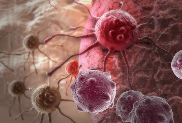 داروی شیمی‌درمانی و ویتامین B درون نانوذرات برای مقابله با سرطان