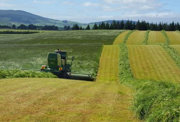 سرمایه‌گذاری دولت نیوزلند برای افزایش بهره‌وری کشاورزی با نانوپوشش‌