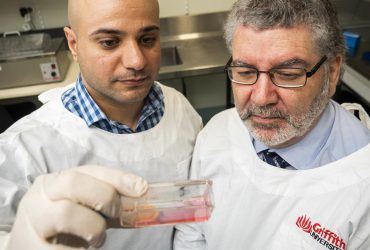 استفاده از ابزار ویرایش ژن برای درمان سرطان گردن در موش‌ها