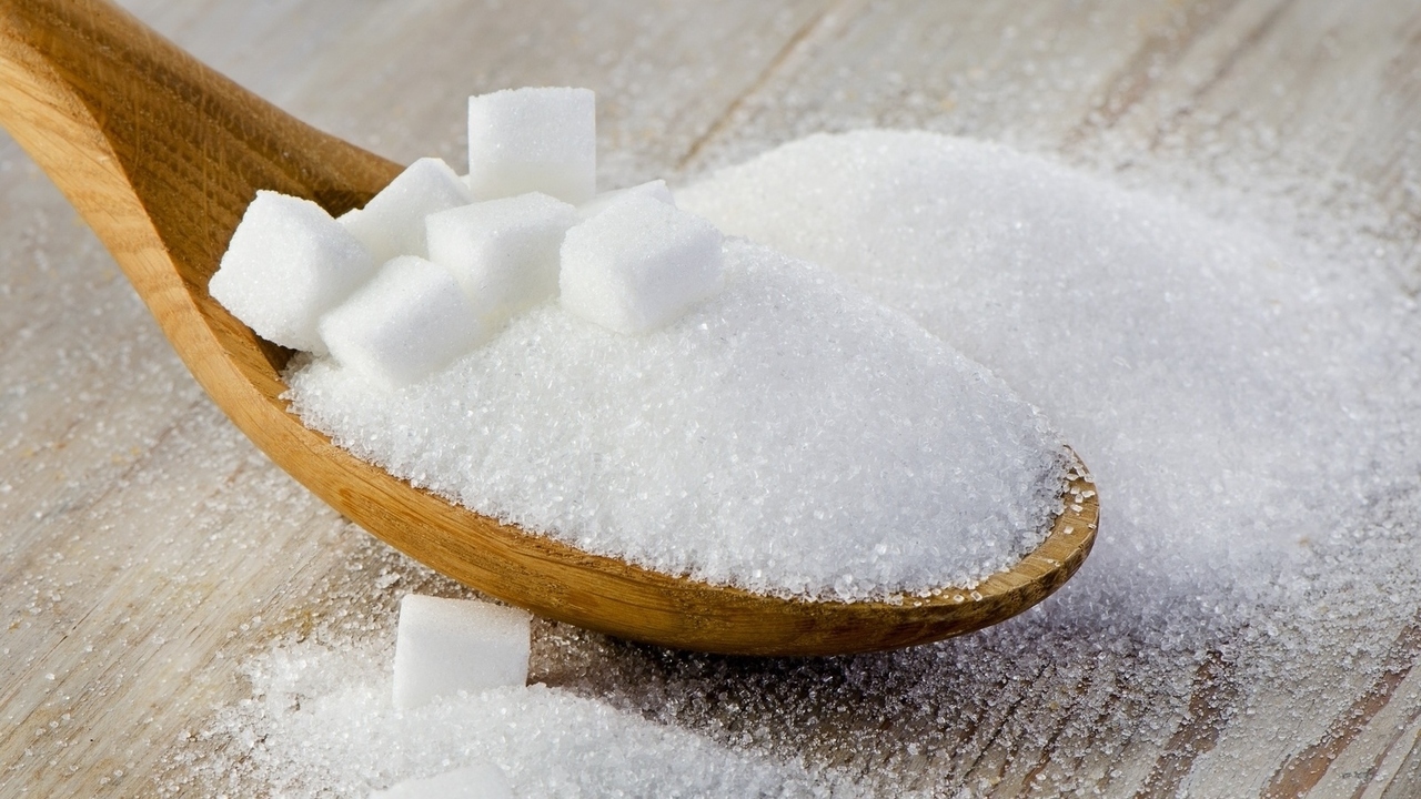 دستیابی به فناوری تولید نانوسلولز از شکر با استفاده از باکتری