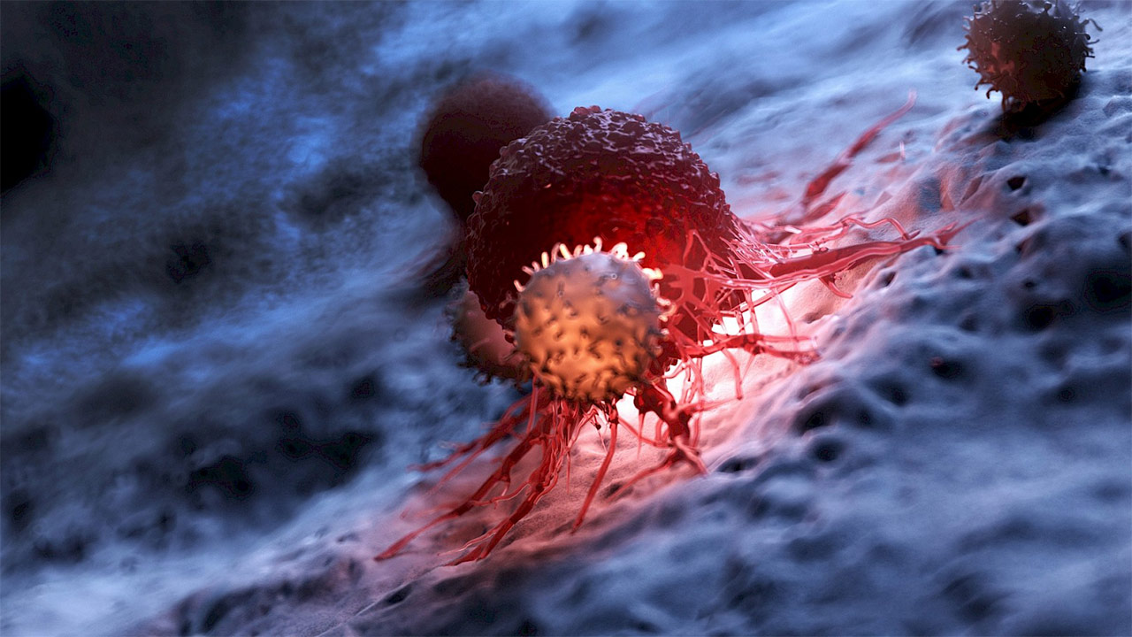نظریه جدیدی برای ورود نانوذرات به تومور سرطانی ارائه شد