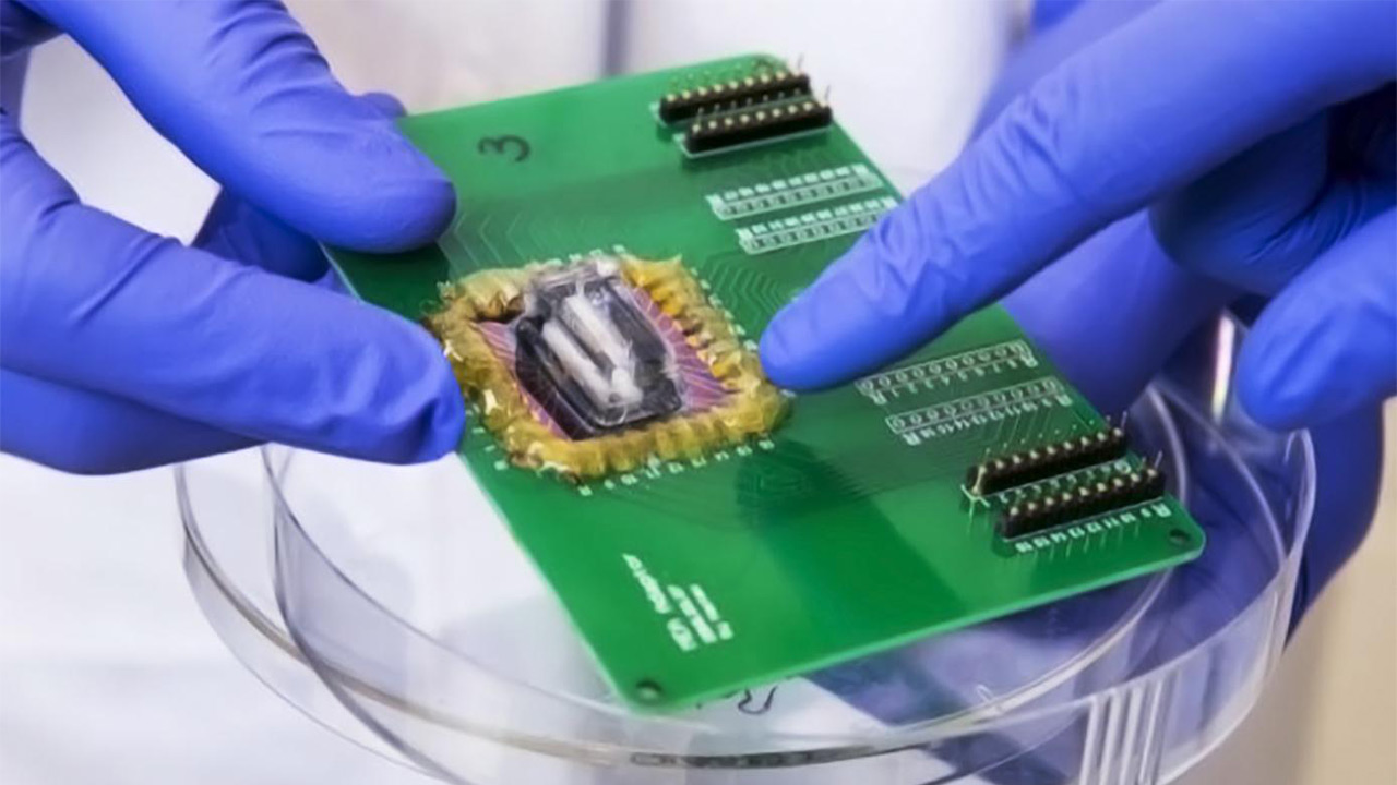 تراشه حاوی نانوالکترود برای مدل‌سازی بیماری‌ها