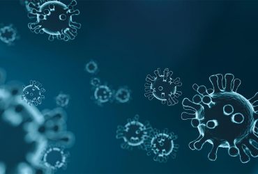 ارائه نانوبادی‌های اختصاصی برای ویروس SARS-CoV-2