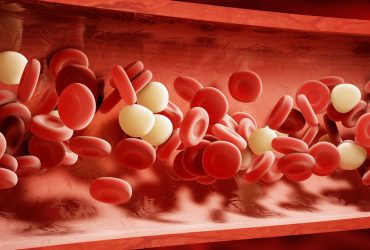 راهبردی برای تولید واکسن: حمل نانوذرات توسط سلول‌های قرمز خون