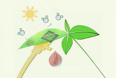 نانوسامانه‌ای برای پایش نور، رطوبت و دمای موردنیاز گیاه