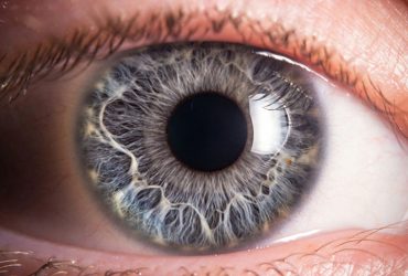 بررسی نقش نانولوله‌های زیستی در بروز برخی بیماری‌های چشم و اعصاب