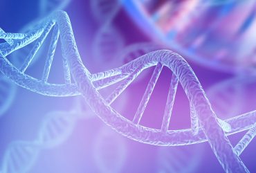 تبدیل رشته‌های DNA به ساختارهای سه‌بعدی کاربردی