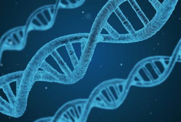 استفاده از DNA به‌منظور تولید کاوشگر ارزان قیمت برای درمان سرطان