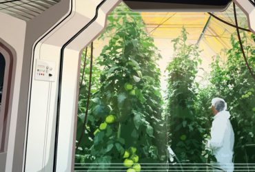 افزایش تولید محصولات کشاورزی در فضا با فناوری ‌نانو