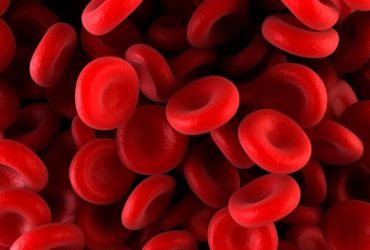 توسعه فناوری نانوزیست‌حسگری برای تشخیص بیماری‌های مربوط به خون