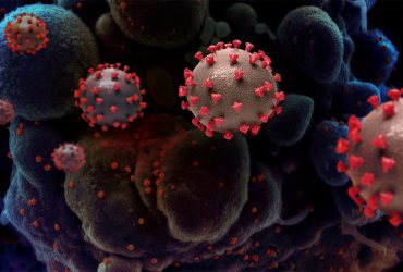 توافق صنعت و دانشگاه برای آزمایش یک نانوداروی ضدویروس
