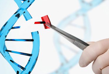 دستکاری ژنتیکی سلول برای تولید محصولات زیستی با دقت نانویی