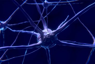 ساخت نورون مصنوعی با استفاده از نانومواد لایه‌ای