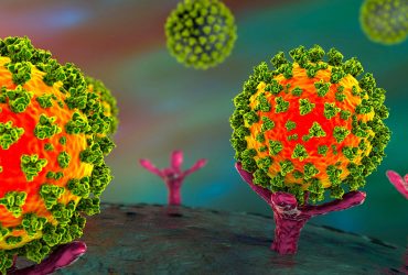 بررسی اثر نانوذرات عامل‌دار روی پروتئین سطح ویروس کرونا