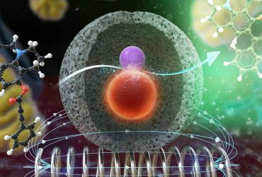 نانودوربینی برای مشاهده واکنش‌های شیمیایی